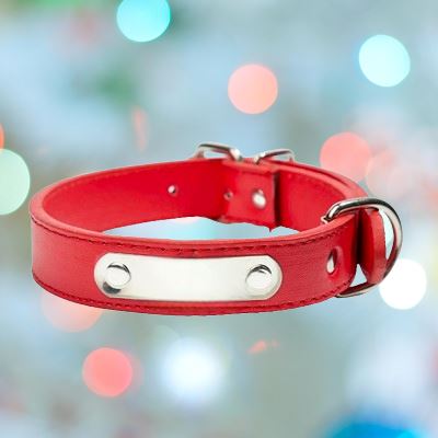 Collier de Chien - LeatherDogCollar™ - Rouge - ChienBaroudeur