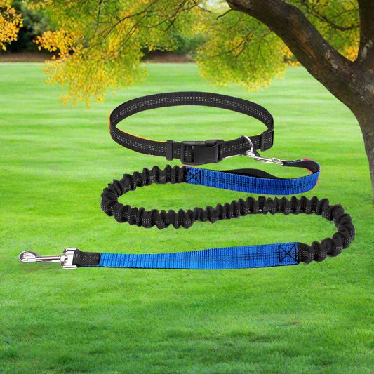 HandFreeDogLeash™ - Bleu - ChienBaroudeur