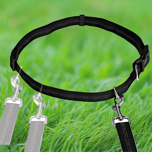 HandFreeDogLeash™ - Noir - ChienBaroudeur