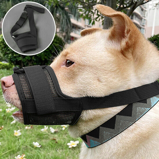 Muselière - SmartMuzzle™