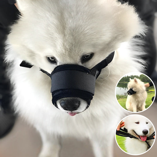 Muselière - SmartMuzzle™